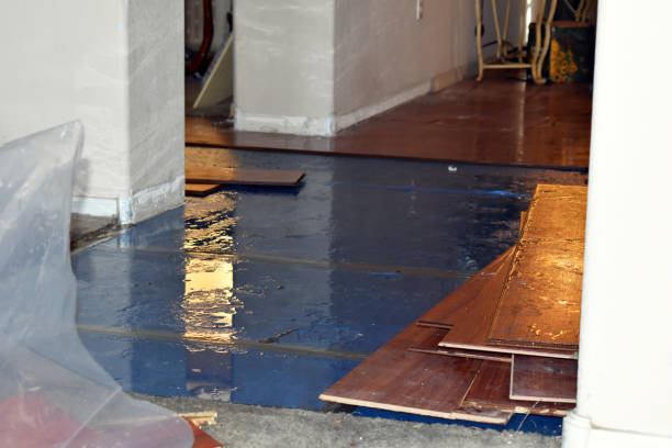 Professional Sewage Cleanup technician working in Carle Place, NY